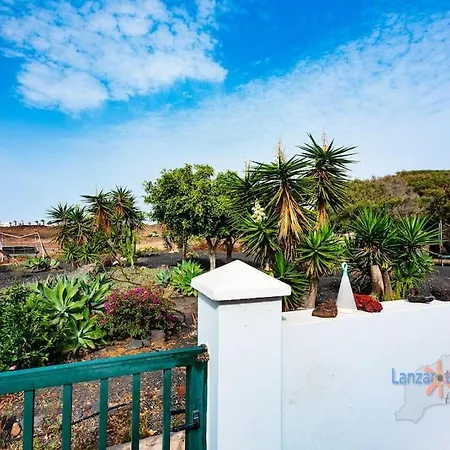 Apartment Casa Francy